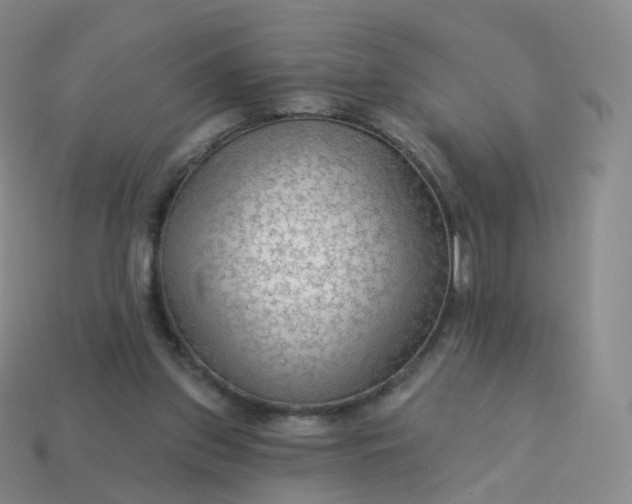 X0000113900157200910081836