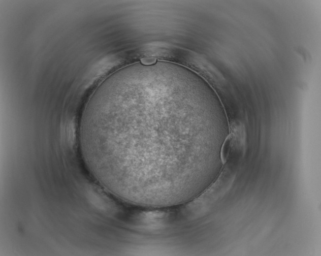 X0000113900158200910081836