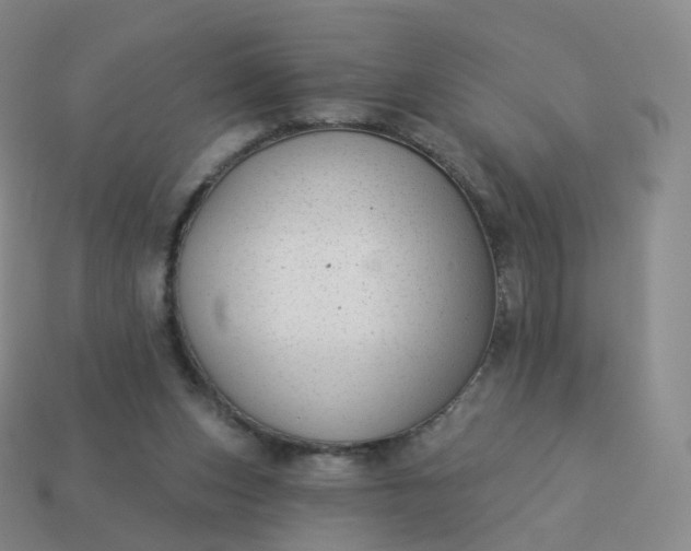 X0000113900159200910081836