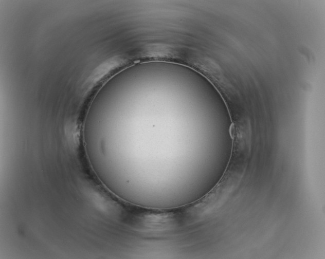 X0000113900160200910081836