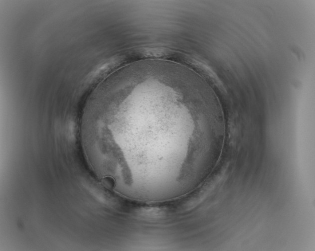 X0000113900161200910081836