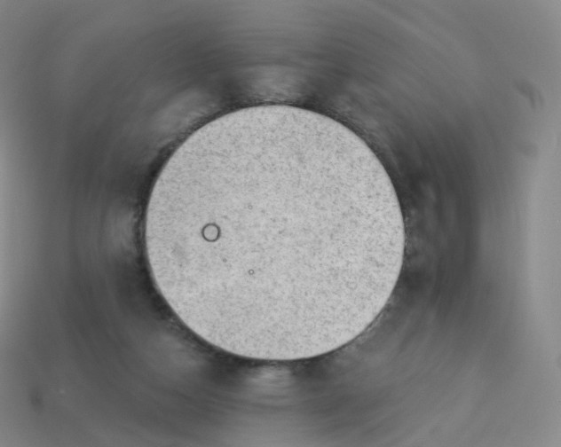 X0000113900162200910081836