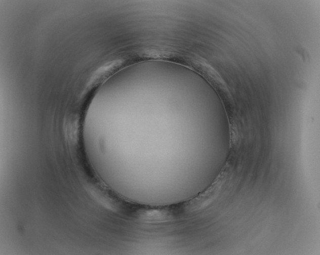 X0000113900163200910081836