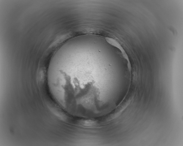 X0000113900165200910081836