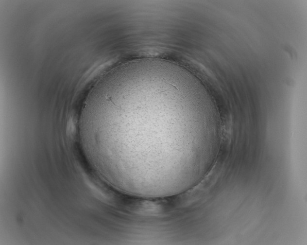 X0000113900166200910081836