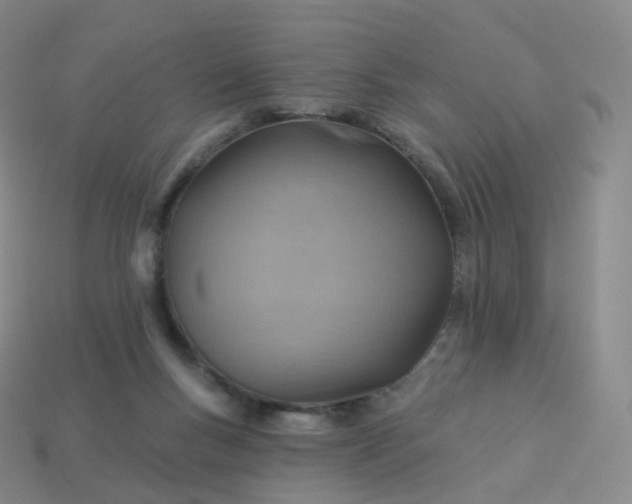 X0000113900167200910081836