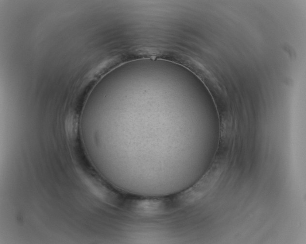 X0000113900168200910081836