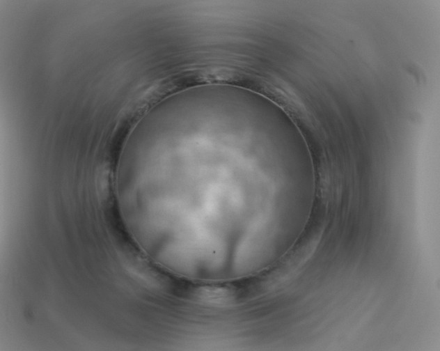 X0000113900169200910081836