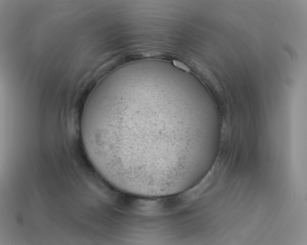 X0000113900170200910081836