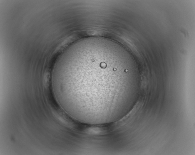 X0000113900171200910081836