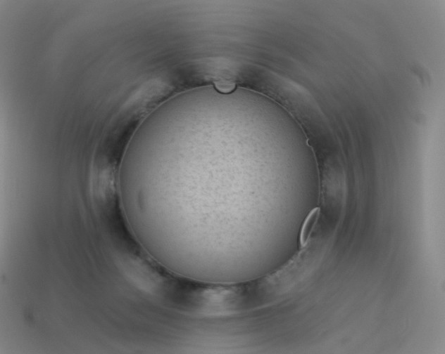 X0000113900172200910081836