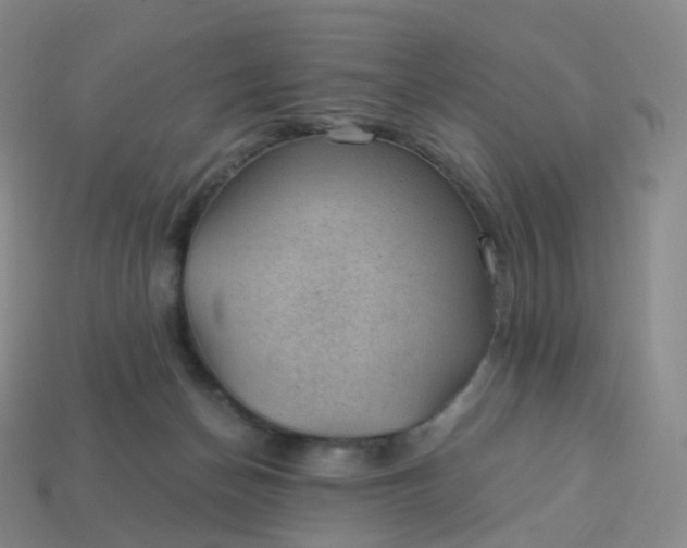 X0000113900174200910081836