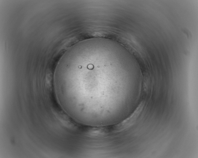 X0000113900175200910081836