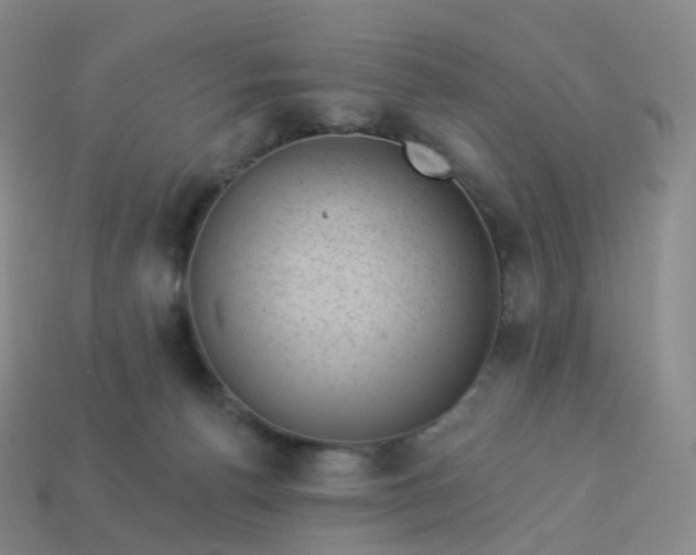 X0000113900176200910081836