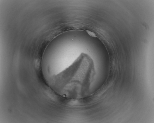 X0000113900177200910081836