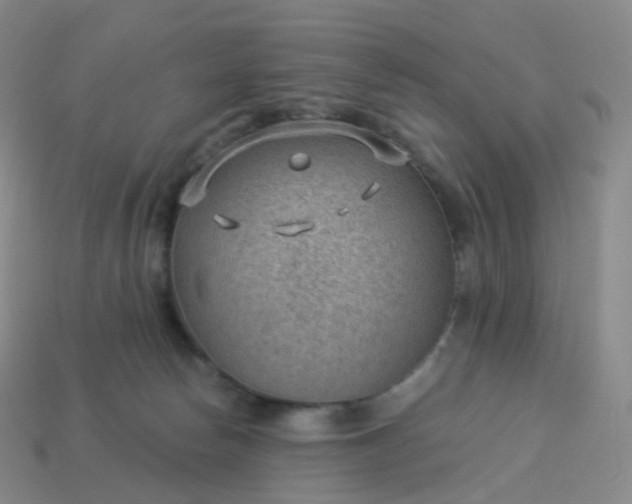 X0000113900178200910081836