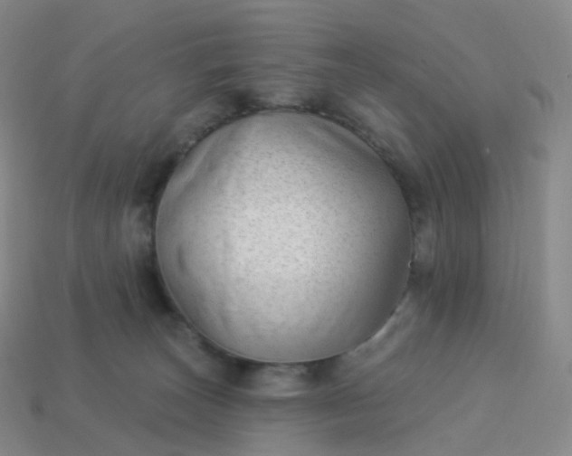 X0000113900179200910081836