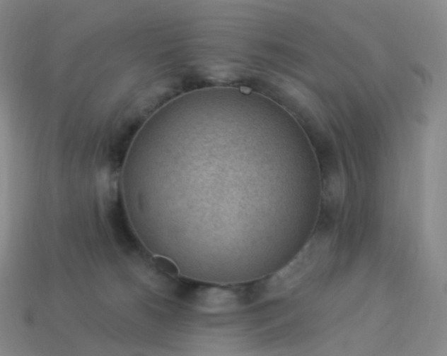 X0000113900180200910081836