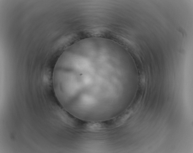 X0000113900181200910081836