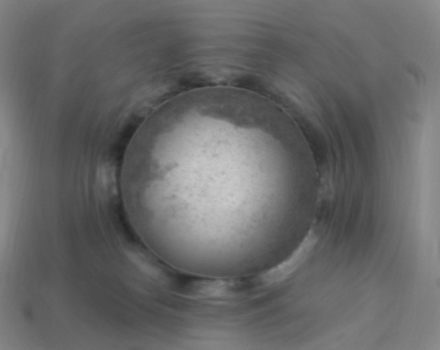 X0000113900182200910081836