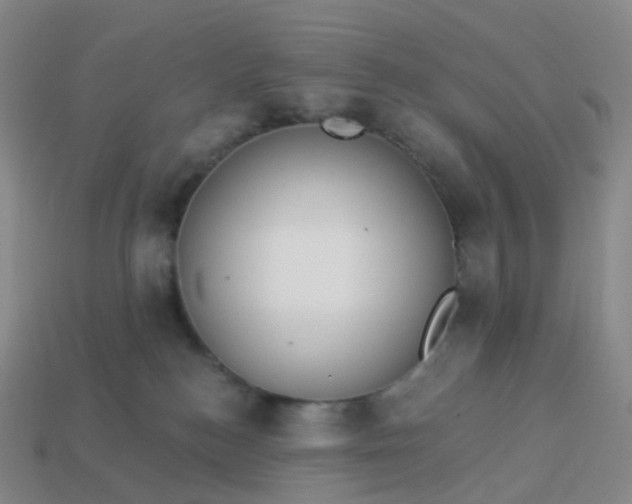 X0000113900184200910081836