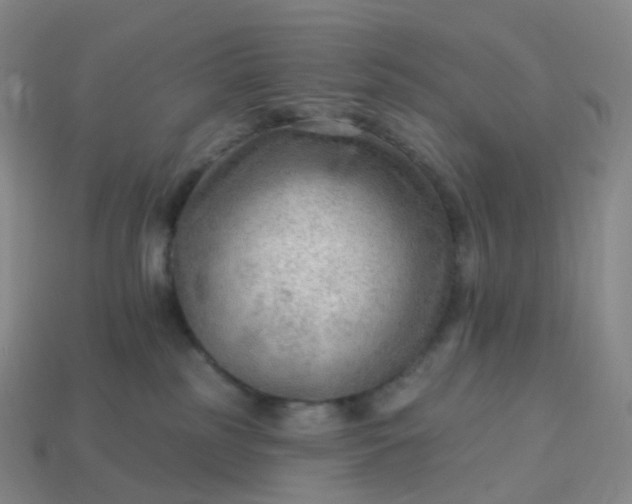 X0000113900185200910081837