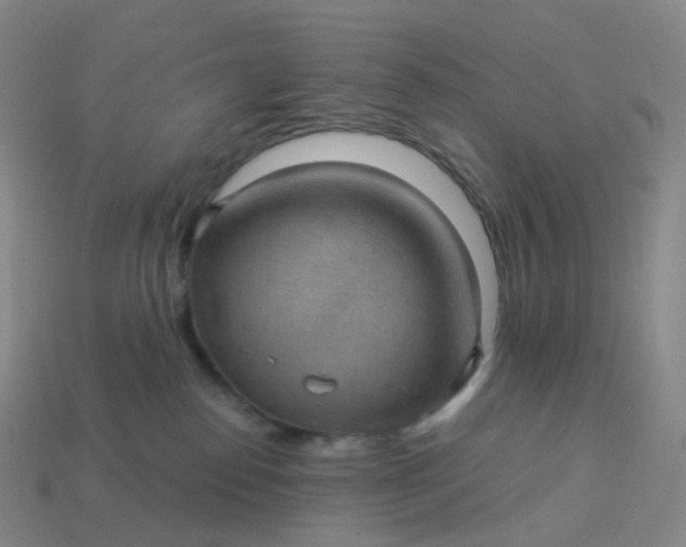 X0000113900186200910081837