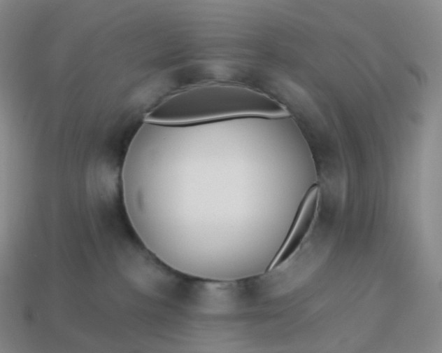 X0000113900188200910081837