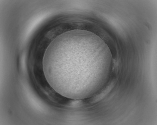 X0000113900189200910081837