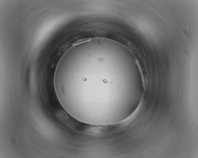 X0000113900190200910081837