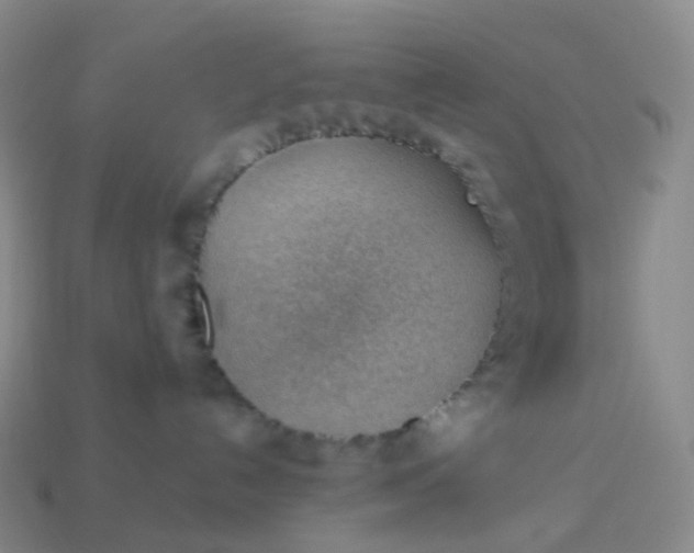 X0000113900192200910081837