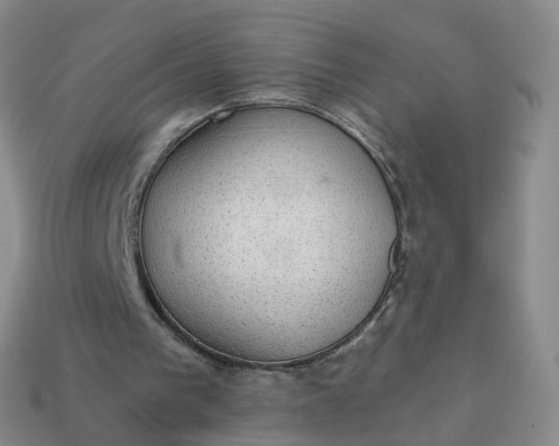 X0000113900193200910081836