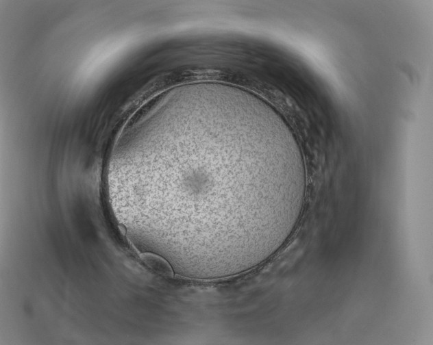 X0000113900194200910081836