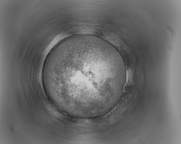 X0000113900195200910081836