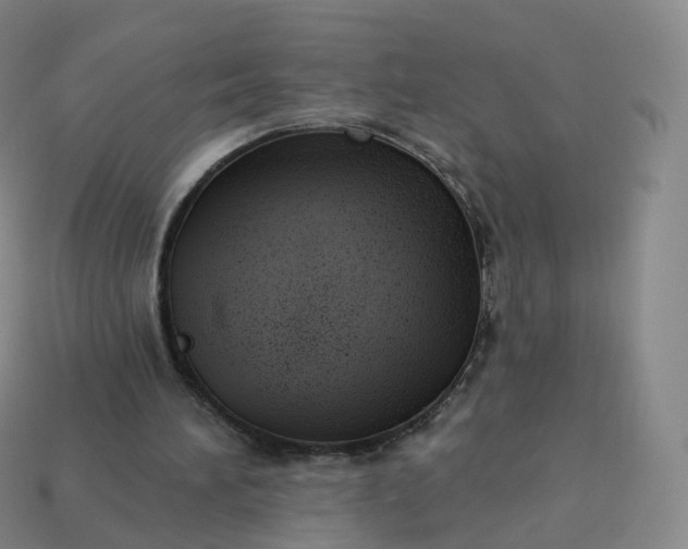 X0000113900196200910081836