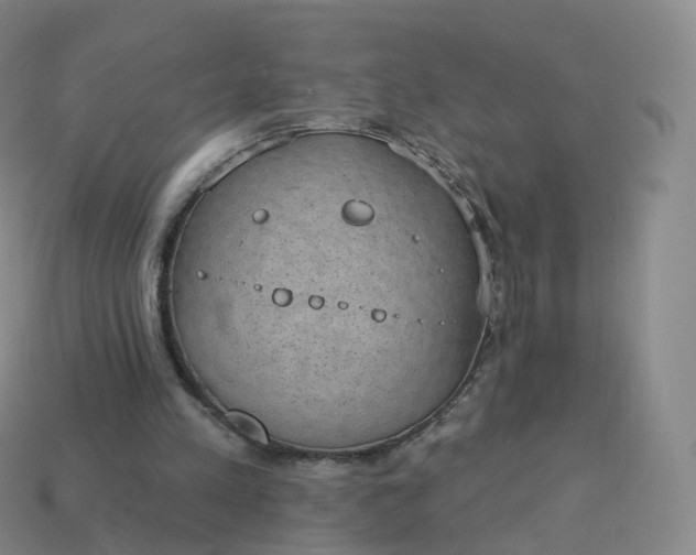 X0000113900197200910081836