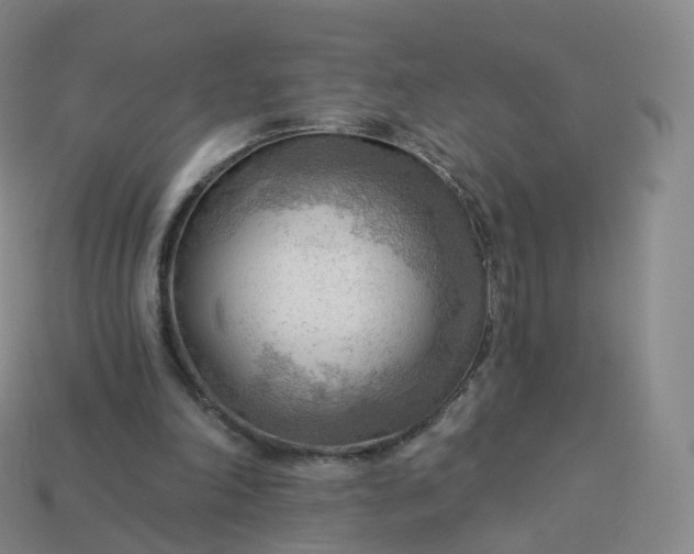 X0000113900198200910081836