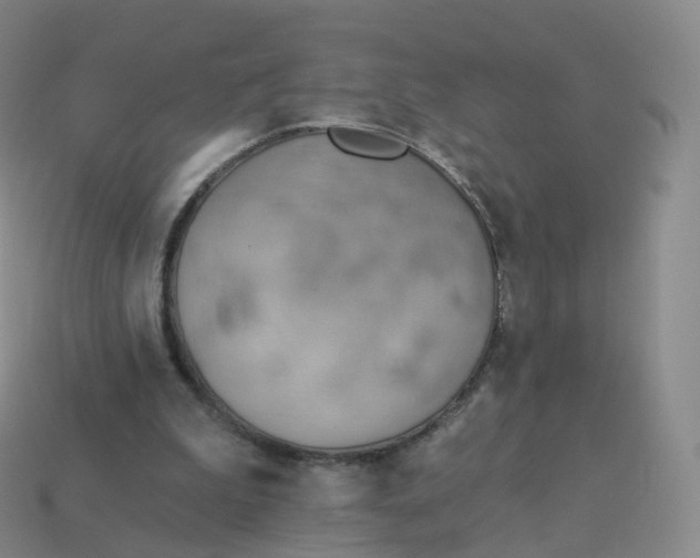 X0000113900199200910081836