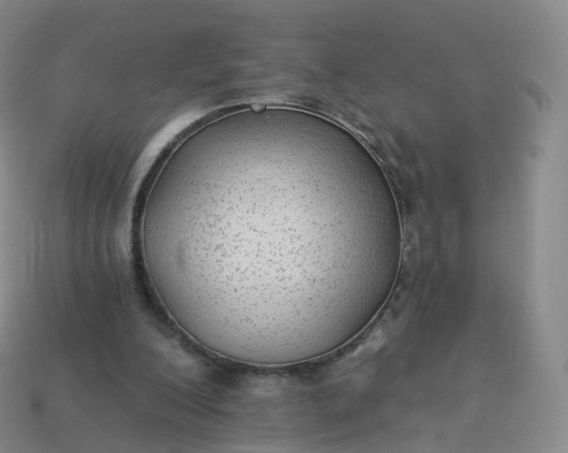 X0000113900200200910081836