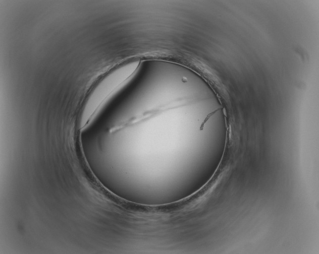 X0000113900201200910081836