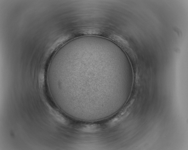 X0000113900202200910081836