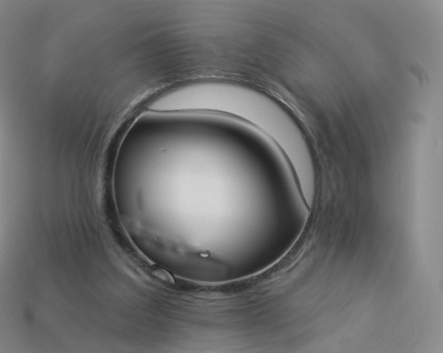 X0000113900203200910081836