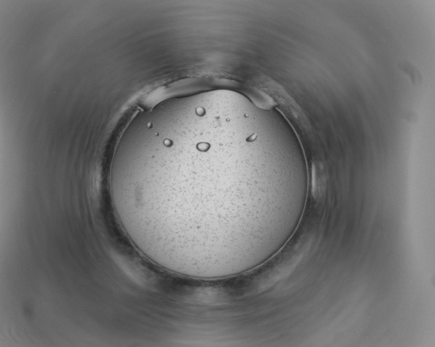 X0000113900204200910081836