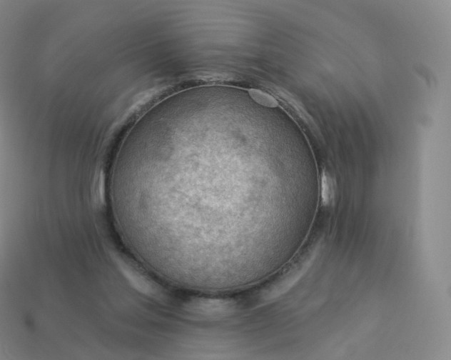 X0000113900205200910081836