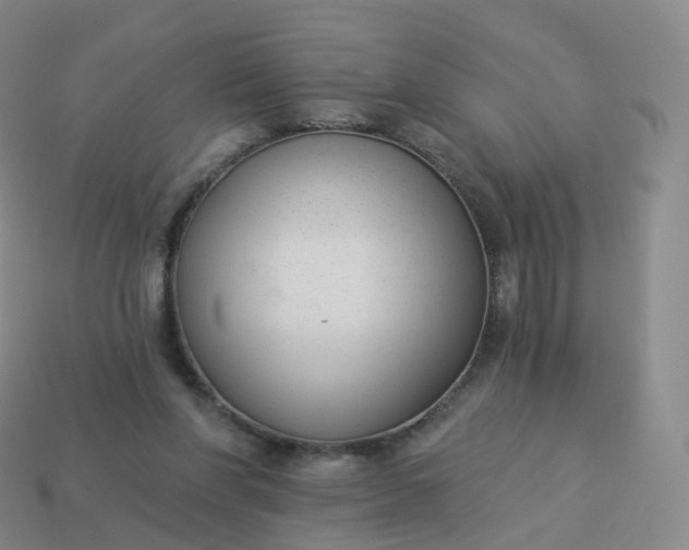 X0000113900206200910081836