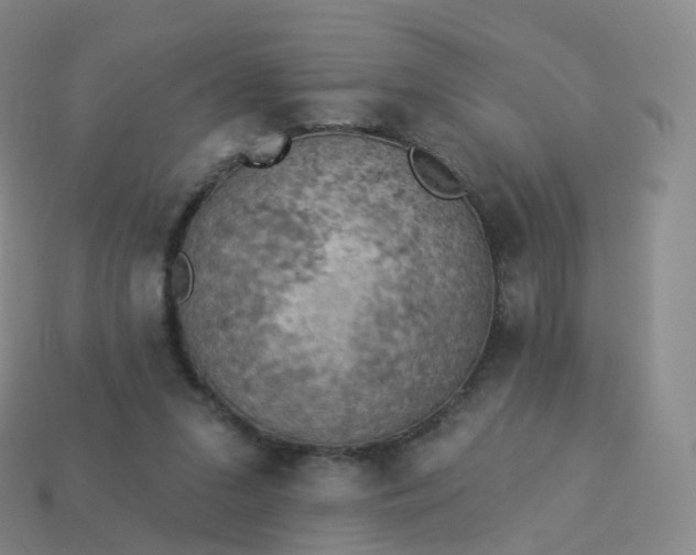 X0000113900207200910081836