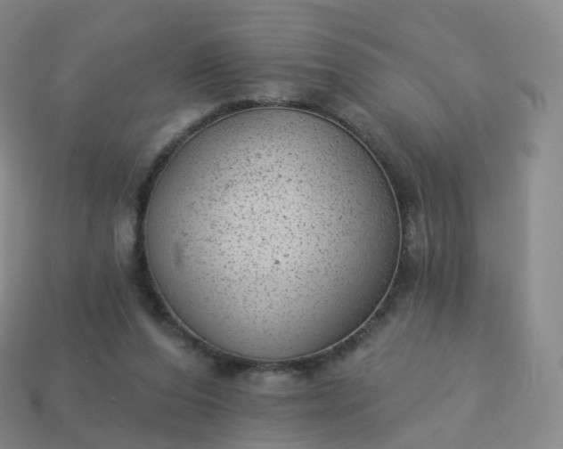 X0000113900208200910081836