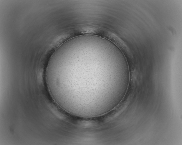 X0000113900209200910081836