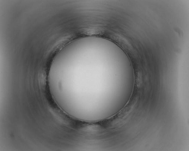 X0000113900210200910081836