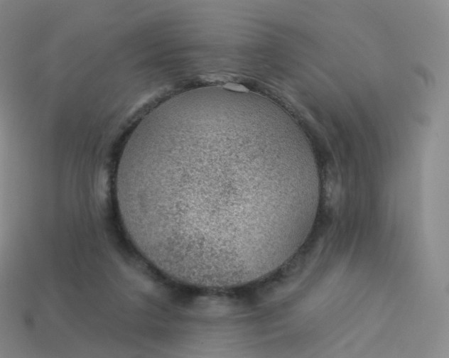 X0000113900211200910081836